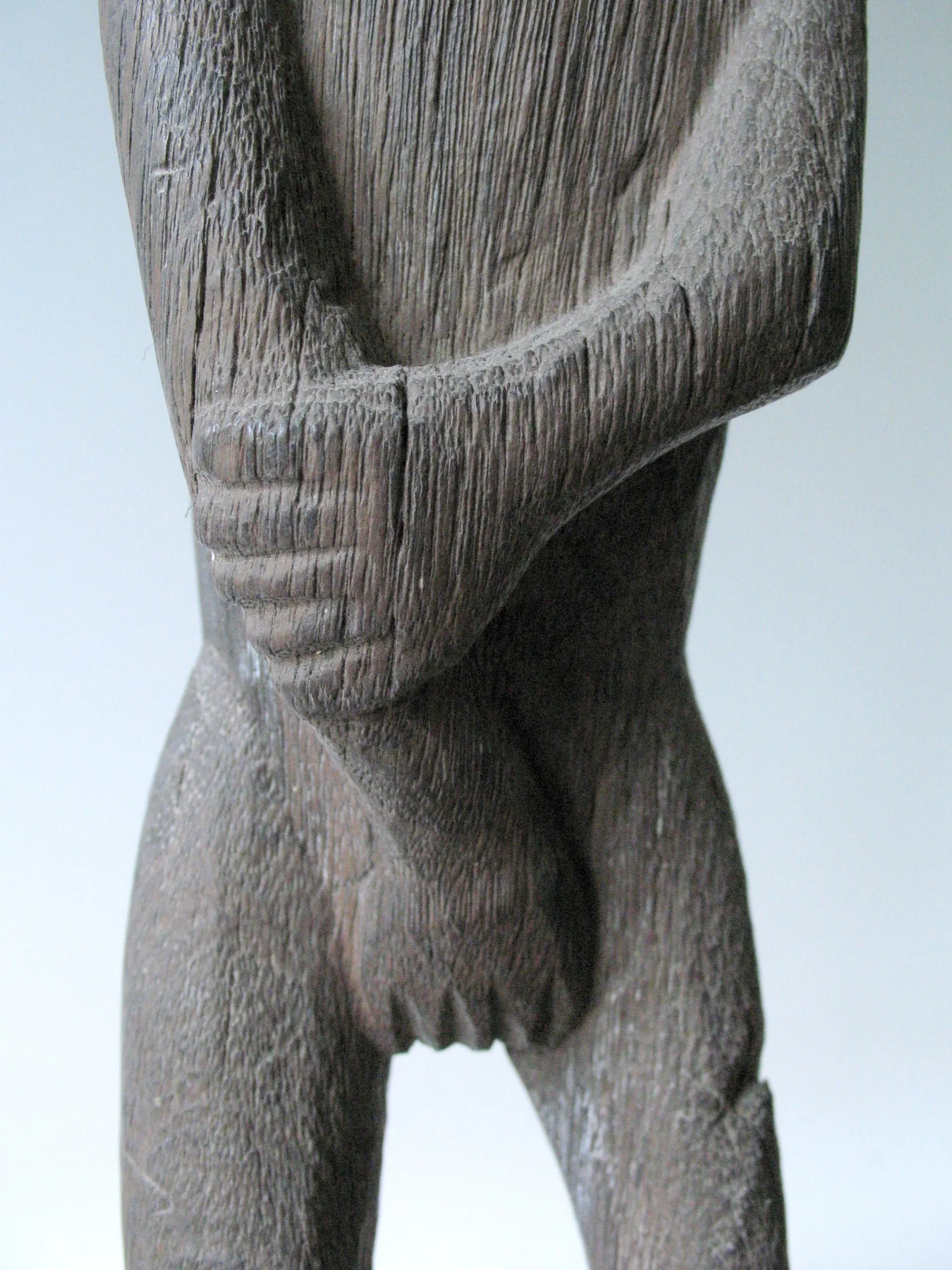 LS-021 detail
