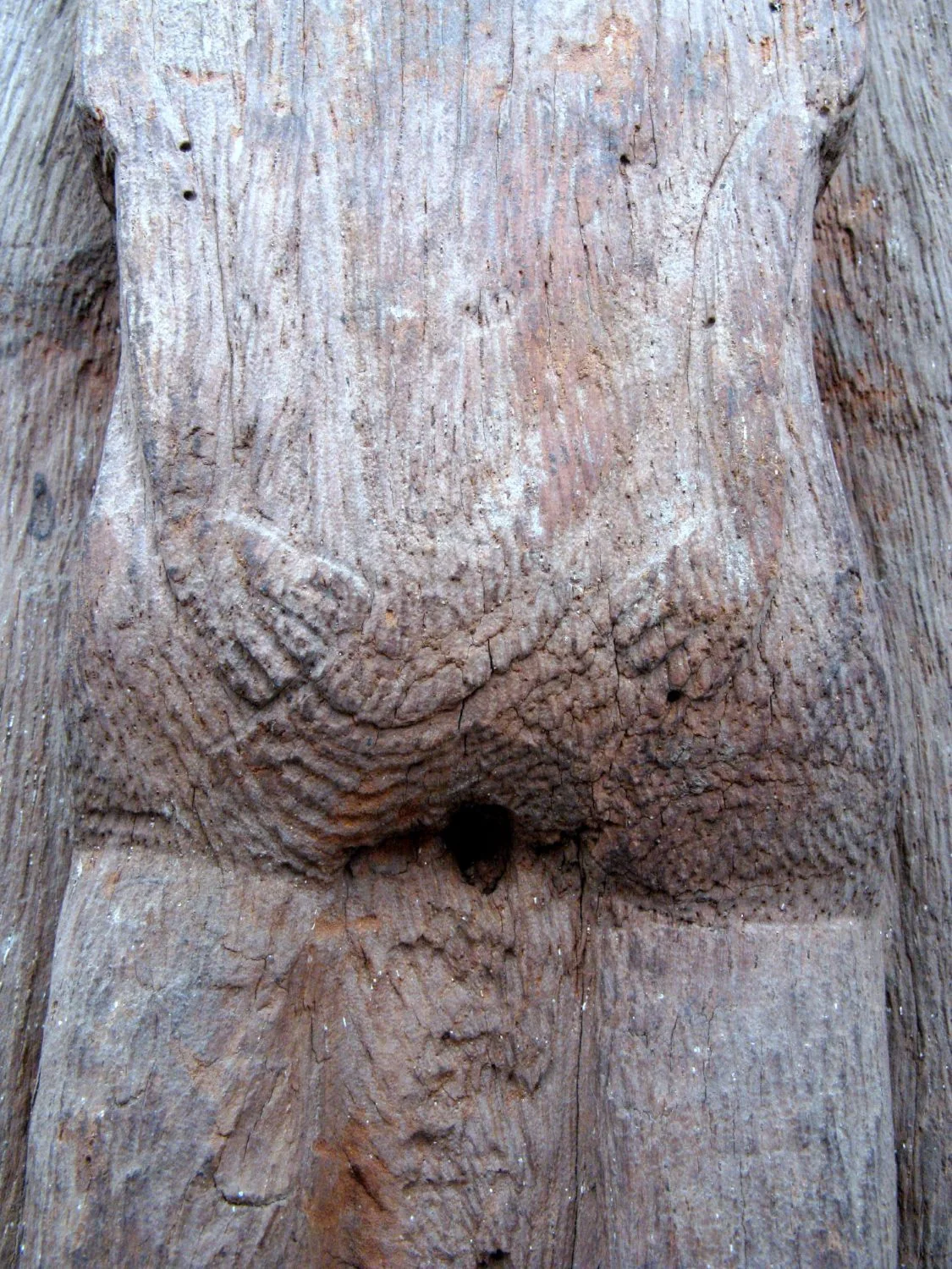 LS-081 detail