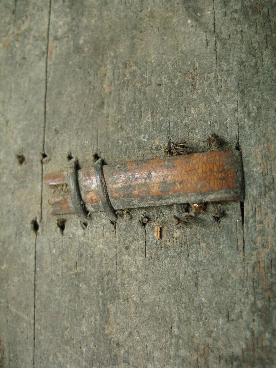 LS-221 detail