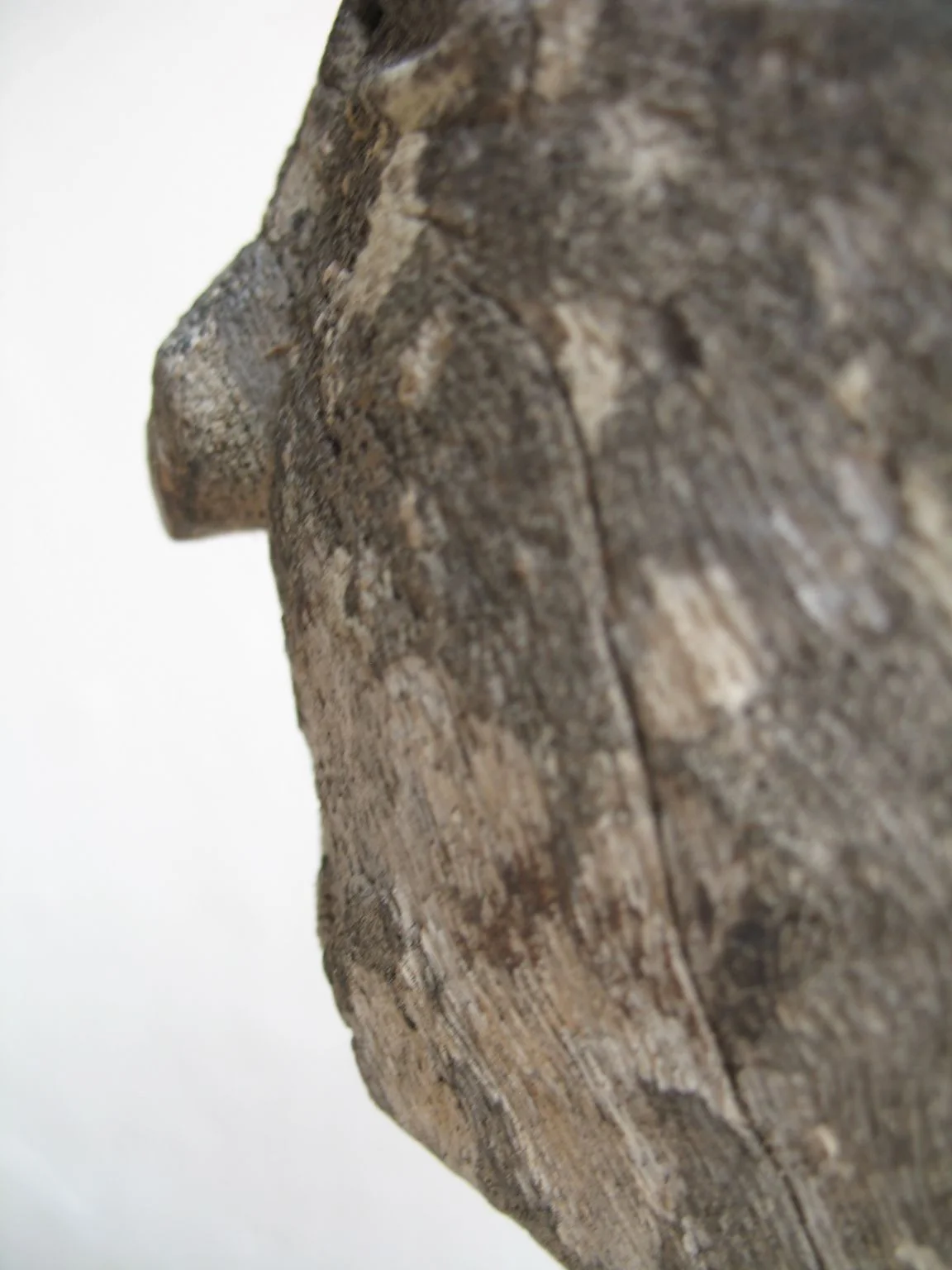 LS-240 detail