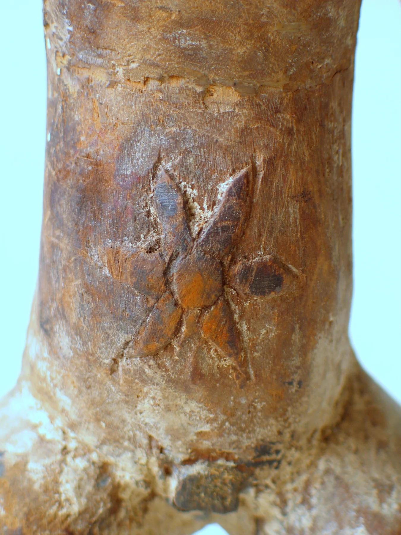 LS-272 detail