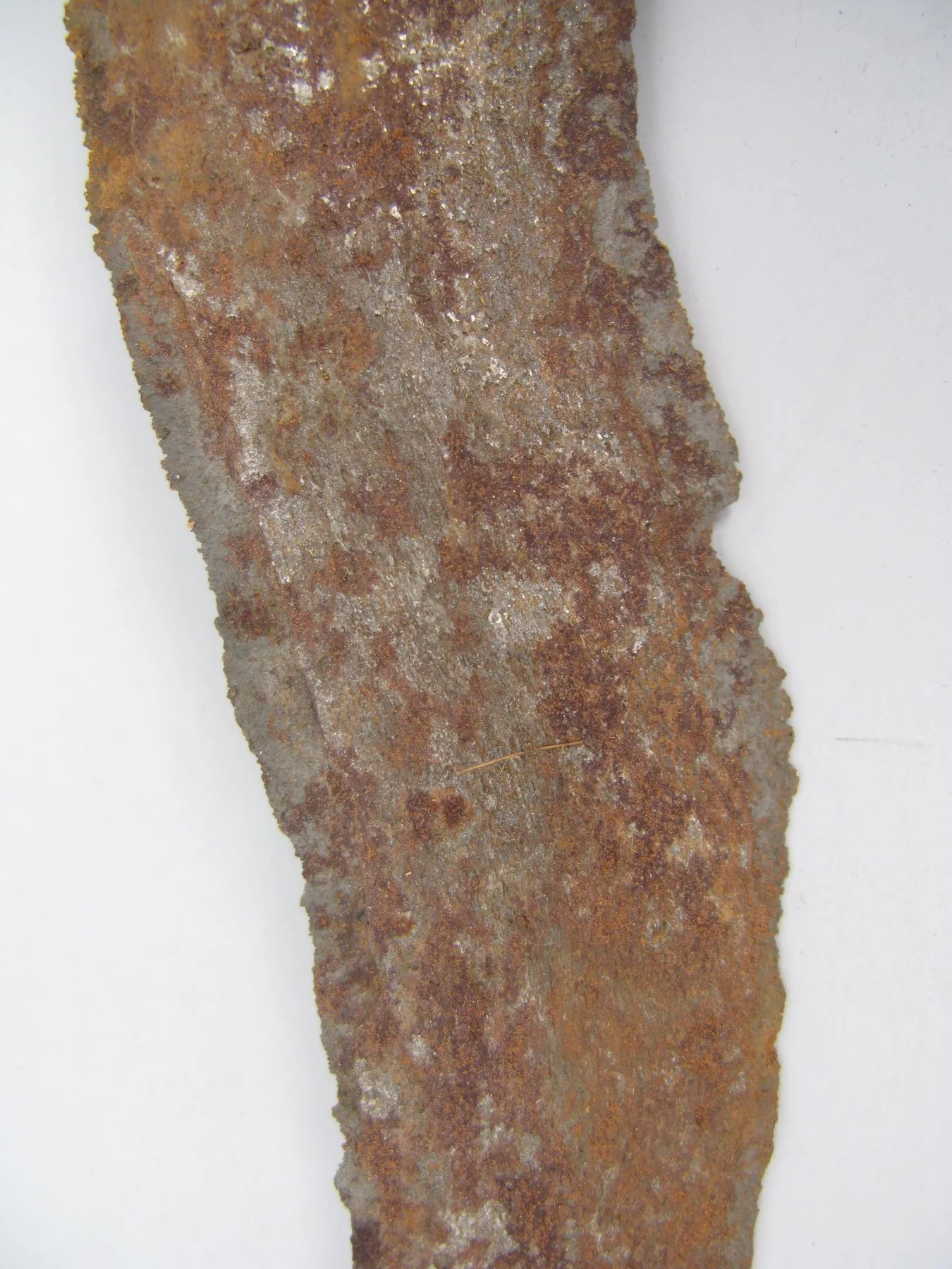 LS-281 detail