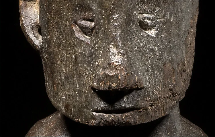 LS-329 detail