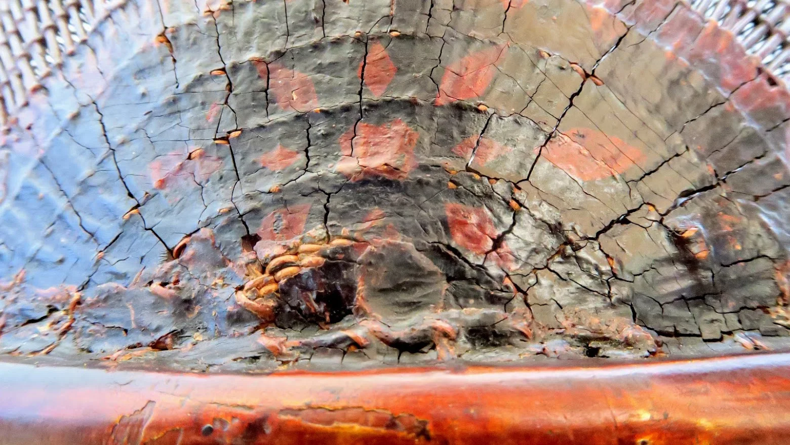 LS-335 detail