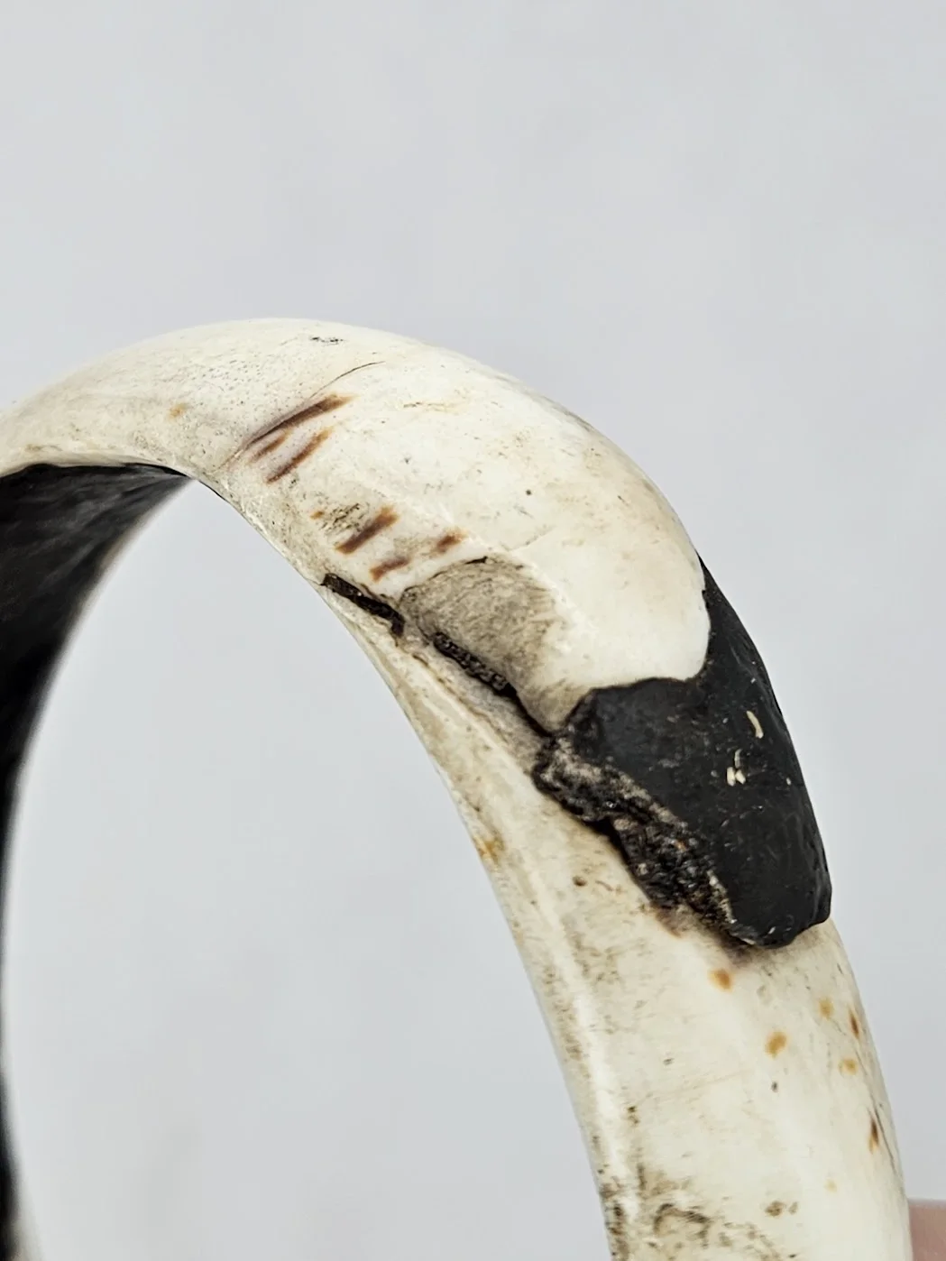 LS-370 detail