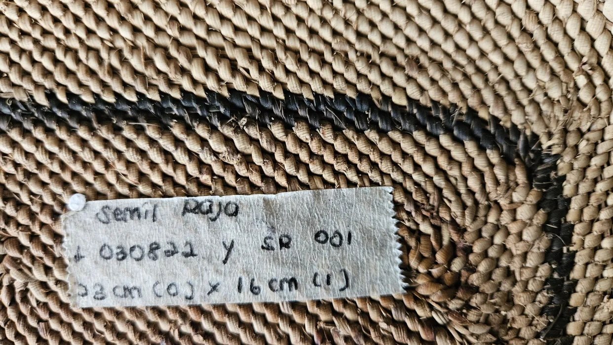 LS-372 detail