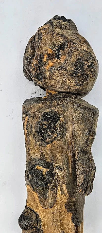 LS-390 detail