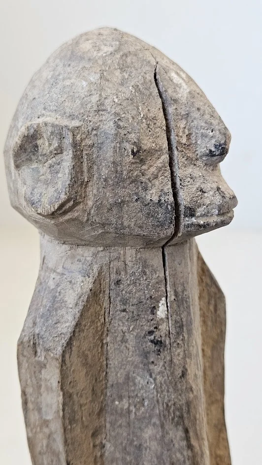 LS-393 detail