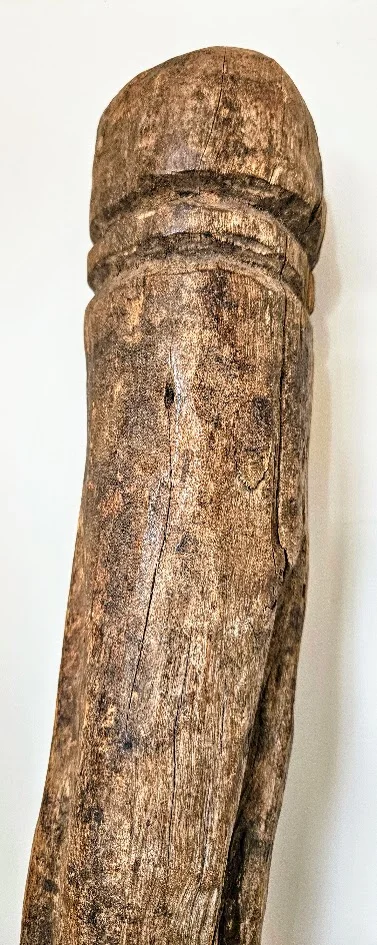 LS-401 detail