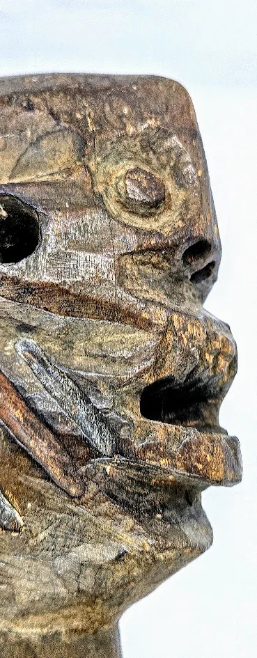 LS-407 detail