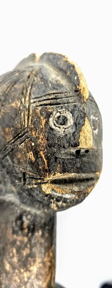 LS-410 detail